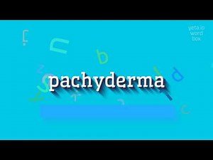 How to say "pachyderma"! (High Quality Voices)
