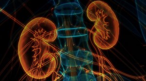 Individual Inaccuracy in Glomerular Filtration Rate Estimation