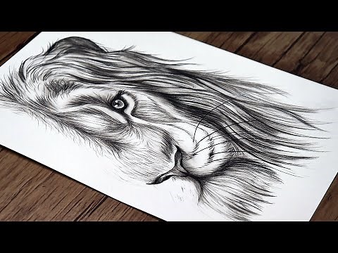 Draw Like a Pro - Amazing Lion Portrait Tutorial!