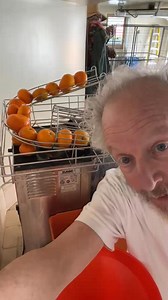 As much as I embrace the perfection of Mother Nature’s imperfections, maybe these genetic engineers are onto something. | Daniel Stern