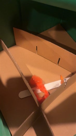 Watch Christmas ornament storage box on Amazon Live