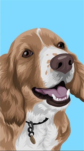 Pet Vector Art Process – InfiniteArtus