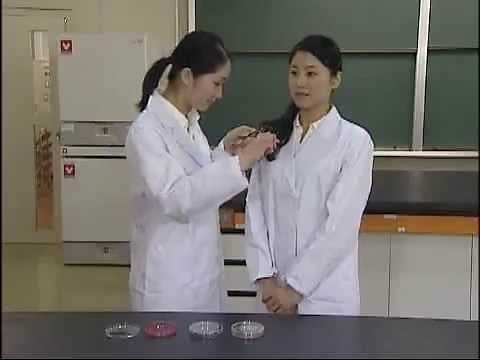 The three principles of food hygiene