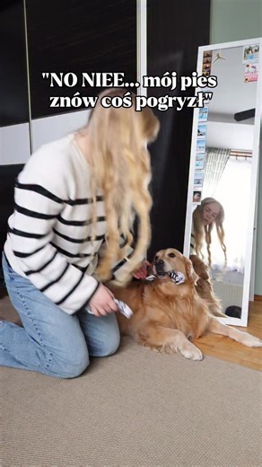 Klaudia & Teddy ➤ życie z psem • edukacja on Instagram: "Na tym zdjęciu mam 5 lat i trzymam w rękach paczkę chusteczek… tylko dlatego, że był na niej PIESEK!!! 🐶 Pamiętam, jak kiedyś „ukradłam” listek papieru toaletowego u cioci, bo był w pieski, a w domu takich nie miewaliśmy 😂 Albo jak zapisywałam w pamiętniku daty i imiona psów, które pogłaskałam i pocałowałam w nosek 🙈 Do dziś u moich rodziców można znaleźć moją kolekcję piesków Chi-Chi Love 🐶 No i tak… bywało też „wyprowadzanie” młodsze