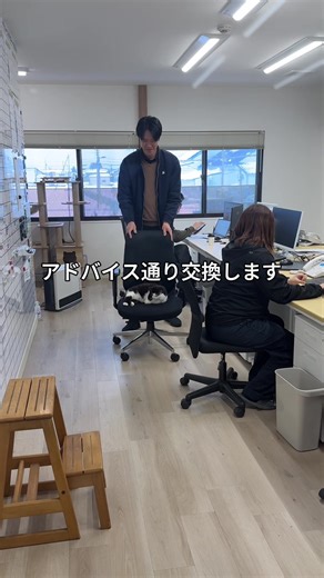 会社猫ふくの日常と強奪事件