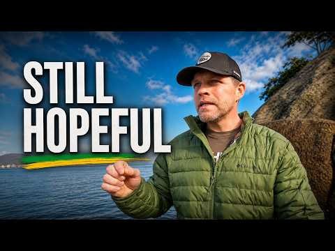 You should be Optimistic About Brazil, Here's Why