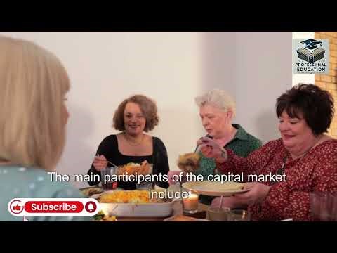 Capital market overview