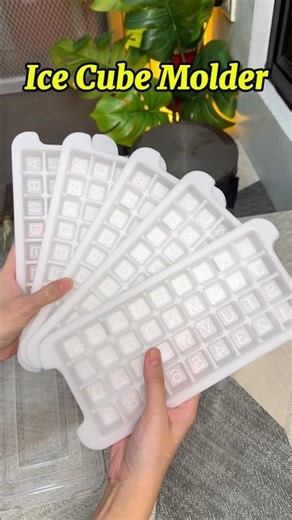 Locaupin Ice Cuber Molder with Plastic Container| Kitchen Essentials