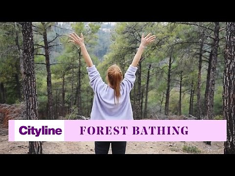 What science tells us about the healing benefits of 'Forest Bathing'