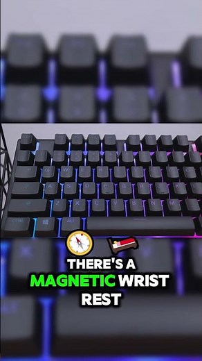 The BEST $50 Keyboard | Steelseries Apex 3 Keyboard Review