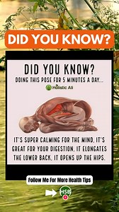 Yoga is an incredible way to build strength, flexibility, and peace of mind. Incorporate these essential yoga poses into your fitness routine to elevate your physical and mental well-being: #DidYouKnow #exercise #yoga #healthylifestyle #reelsfypシ #reelsvideoシ | Health Spirit Body