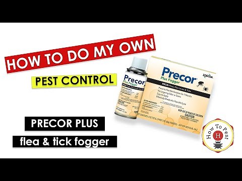 DIY Pest Control – Precor Plus Flea & Tick Fogger Tutorial | Fast Home Treatment