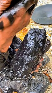 9K views · 579 reactions | wow!!!characteristics of super black material that contains hundreds to millions of precious metalswow amazing #goldprospecting #goldprospector #goldpanner #goldseeker #goldhunting #goldminer #internationalgold #reelgold #puregold | Gustian Gus Tian | Facebook