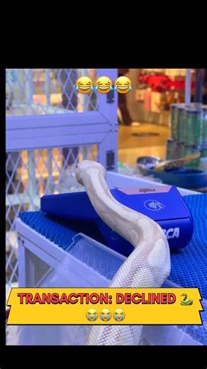 Sir That is NOT a Card Reader 😂🐍