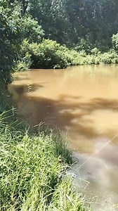 9K views · 87 reactions | Tahan Jaring Ikan Baung di musim tengkujuh,Air mato plop sobakkk... Kali ke 3 dah lagu ni, berasa putus angin dah nak tahan pukat.. #musimtengkujuh #hujanlebat #airmato | Ikan Baung Sungai Kelantan II | Facebook