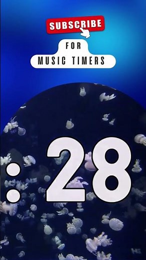 🎹 ⌛ 5 Minute Timer Relaxing Piano Music - Jellyfish Aquarium (part 3) #shorts