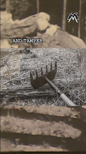 Smokejumper Tools: Pulaski & McLeod Wildfire Weapons #shorts