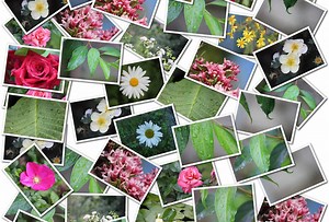 TensorFlow for mobile poets