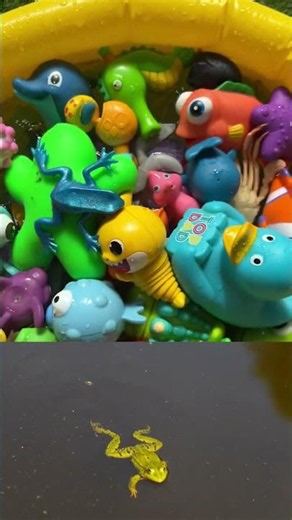 EXPLORE MARINE ANIMAL NAMES AND FACTS| OCEAN ANIMAL TOYS FOR TODDLERS AND PRESCHOOLERS