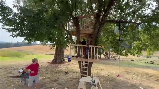 Enjoying the new tree house! | Pastor Ted Wilson