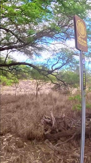 🥾 Ala Kahakai Historic Trail Hawaii 🥾 #AlaKahakai #HistoricTrail #bigislandhawaii