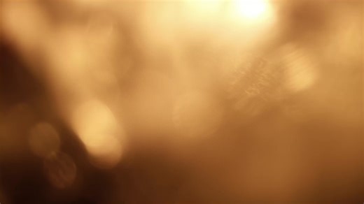 Culinary Innovation Awards 2025 – A Celebration of Taste &...