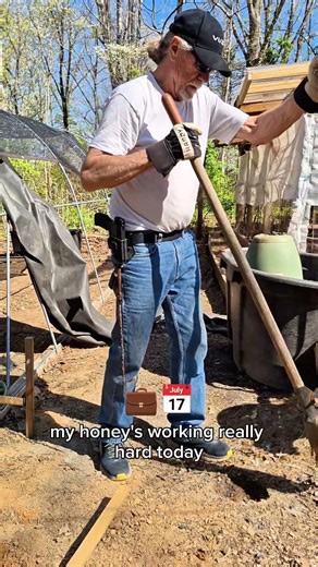 Beginning of the new chicken run!