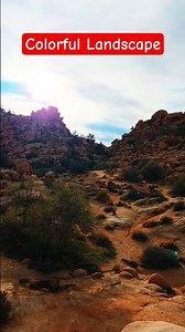 Exploring Hidden Trails in Joshua Tree National Park