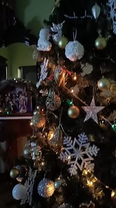 27K views · 594 reactions | Al solo pensiero di disfarlo mi sento male...... tutte queste serate con le sue luci, i suoi colori mi ha tenuto compagnia, la sera tardi sul divano e con buona musica me lo sono goduto. Per quanto tempo secondo voi dovrei tenere ancora l'albero. | Renna Fabio | Facebook