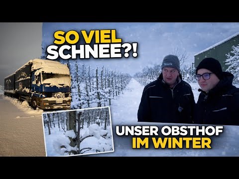 Raddatz Fruit Farm - We haven't had this much snow in ages! ❄️ Our fruit farm in winter