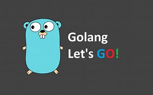 Go开发语言(21世纪的C语言)从入门到项目实战，21周搞定go语言