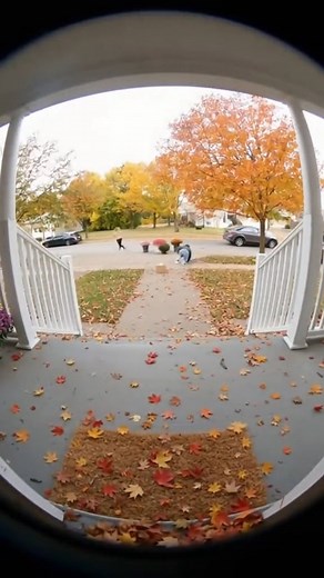 Edyth Nicolas on Reels