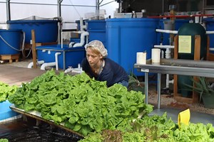 23 reactions · 6 comments | Mike and Maura are wrapping up their week...