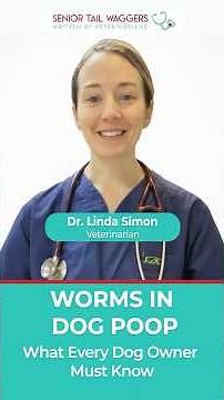 Worms in Dog Poop? Dr. Simon Explains What to Do