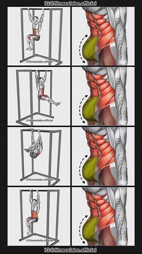 376K views · 1.3K reactions | ✅ Lower Abs Workout ① Hanging Dead Bug ② Hanging Flatter Kick ③ Hanging Twist ④ Hanging Pike 3 sets 15-20 reps #fitness #gym #exercise #workout #workoutroutine #exercisetips #fitnesstips #bodybuilding #abs #absworkout | Fitnesslabo | Facebook