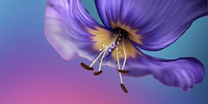 Networks Forge a New Era of Biodiversity