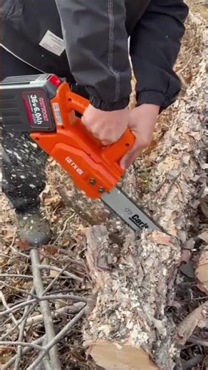 Person using electric chainsaw cutting fallen tree trunk outdoors