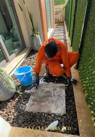 #deepcleaning #generalcleaning #pestcontrol #pestcontrol #kenyacleaningservices