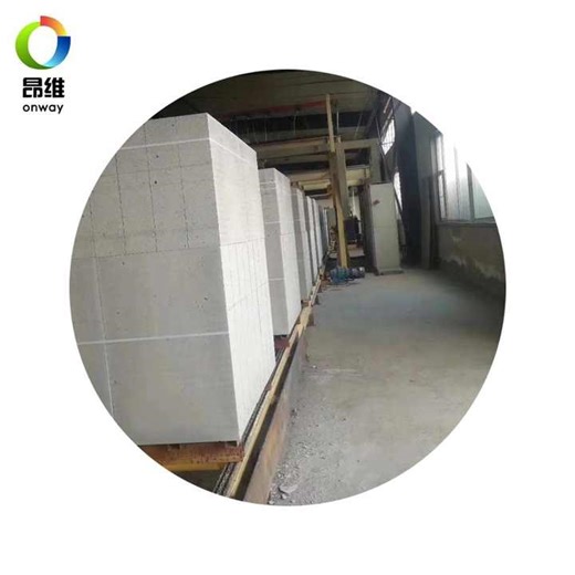 German Technology AAC Autoclaved Aerated Concrete Block and Slab Making Machine with PLC Gearbox Gear Core Components