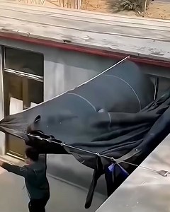 10M views · 13K reactions | No more harsh rays with this sun shade ☀️ | DIY Panda | Facebook