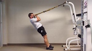 TRX Biceps Curl
