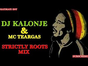 DJ KALONJE & MC TEARGAS ~ BEST OF ROOTS REGGAE MIX 2020