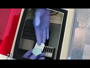 Using a Daylight Loader for Processing Plain Film X-Rays