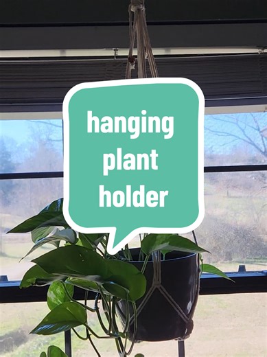 Hanging Plant Holder: Save Space & Maximize Light
