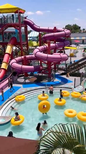 1.1K views · 20 reactions | Wake up in Florida. Immerse yourself in the fun. ☀ From water slides by the pool, this is how the holidays should feel. Let the good times flow in our hotel with water park! #RamadaFlamingoWaterPark #NowWeAreRamada #beachvibesmusic #beachvibes | Ramada Flamingo & Water Park | Facebook