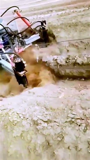 Grape picking with machinery boosts efficiency #shorts #agriculture #farming