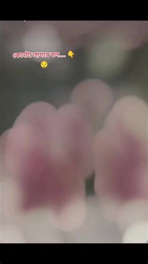 Discover What You Need for K2000