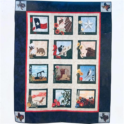 Texas Quilt Block of the Month Patterns, Texas Proud, Floral Quilt Kits to Sew, Quilt Ideas, Sunflower Quilt Patterns, Texan Themed Quilts - Etsy Canada