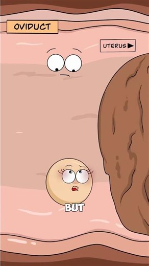 This Could Stop Pregnancy. #funny