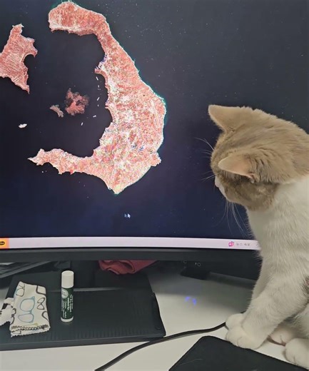 마우스커서 사냥꾼 동동이
